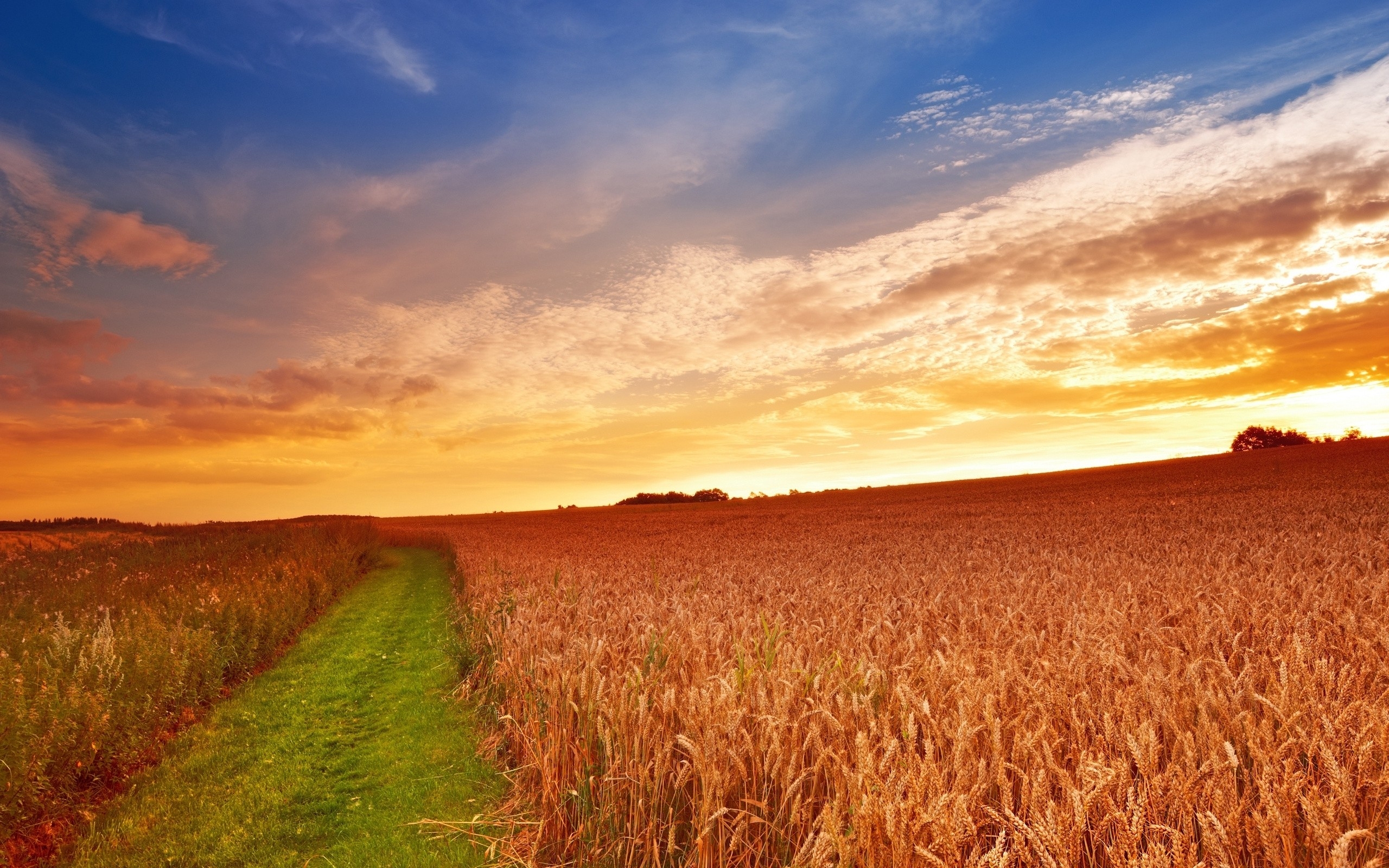 Farm sunset Mac Wallpaper Download | Free Mac Wallpapers Download