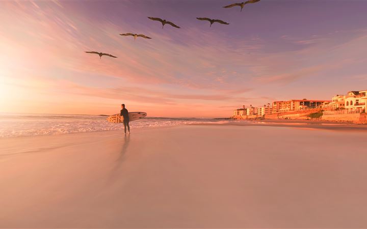 person standing in seashore with birds flying in s iMac wallpaper
