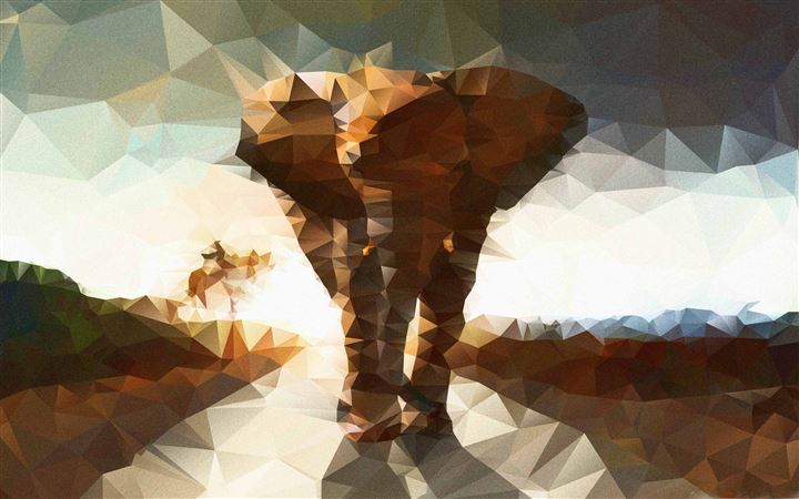 Elephant Polygon Illustration All Mac wallpaper