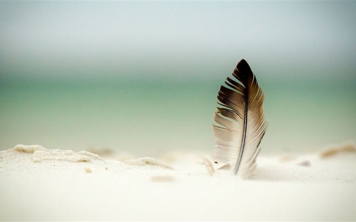 Feather In The Sand All Mac wallpaper
