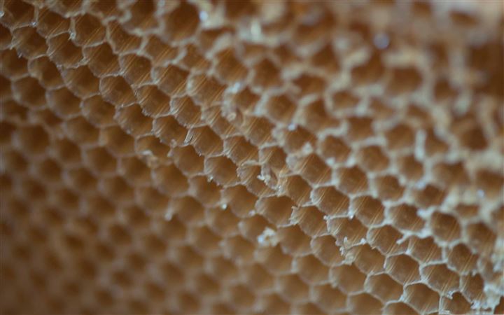Honey Harvest All Mac wallpaper