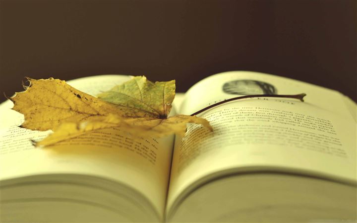 Leaf On A Book All Mac wallpaper