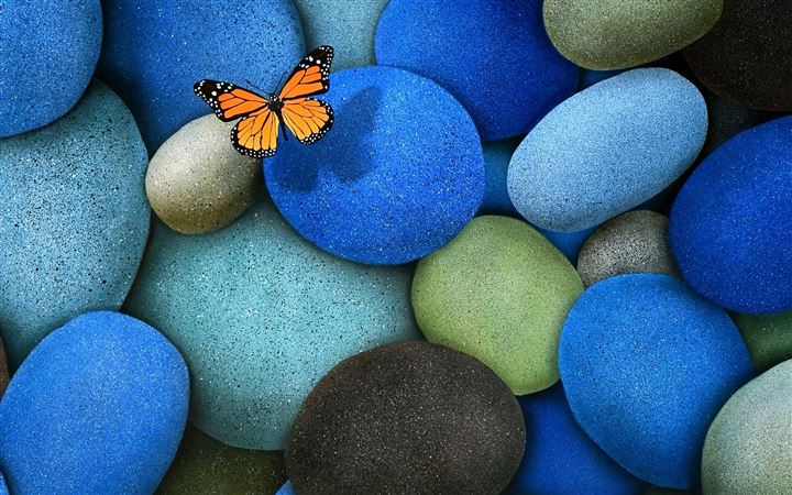 Lonely Butterfly All Mac wallpaper
