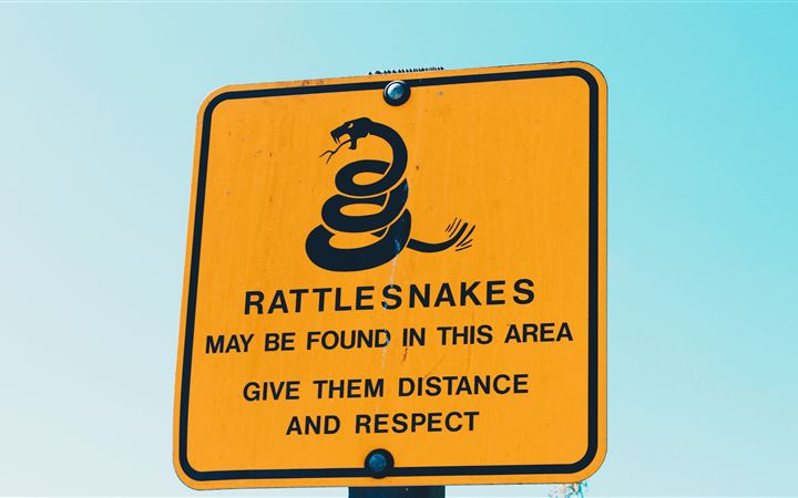 Rattlesnakes All Mac wallpaper