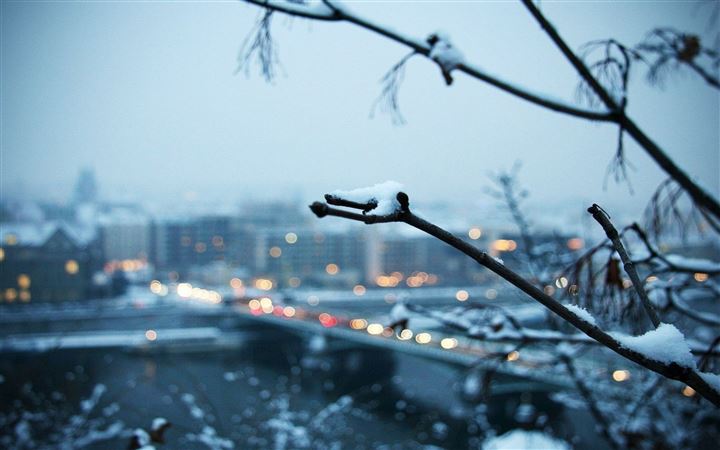 Snowy Branch With The City In The Background All Mac wallpaper