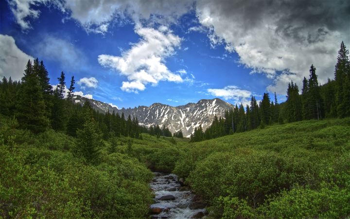 Summer In The High Country All Mac wallpaper