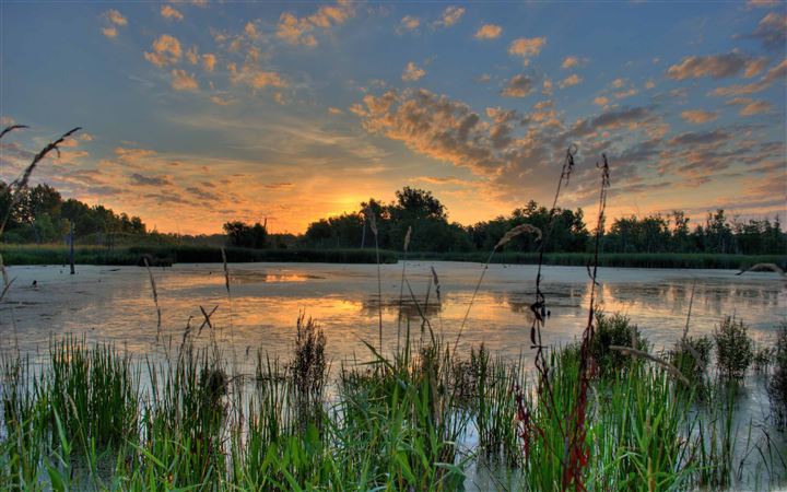 Sunrise Over A Pond In The Minnesota All Mac wallpaper
