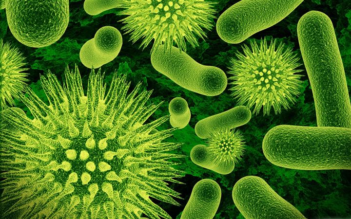 The Bacterias 3D All Mac wallpaper