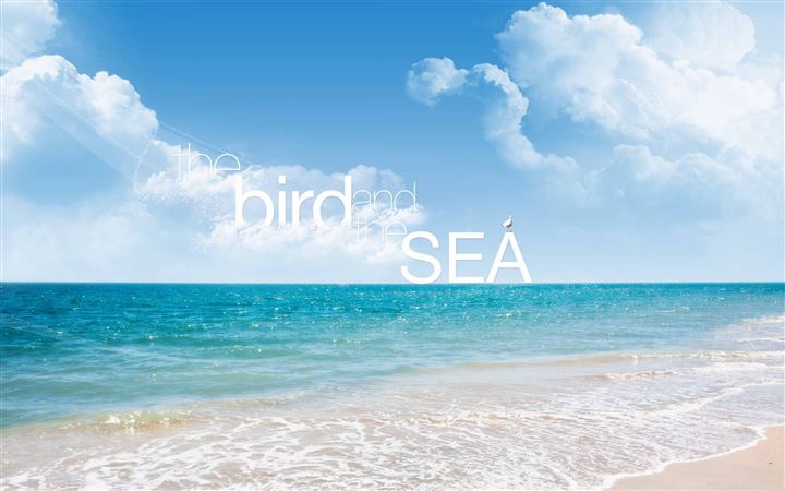 The Bird And The Sea All Mac wallpaper