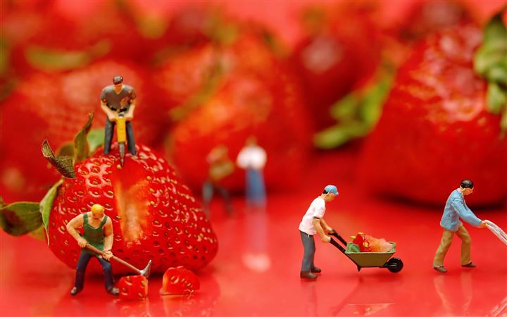The Strawberries All Mac wallpaper
