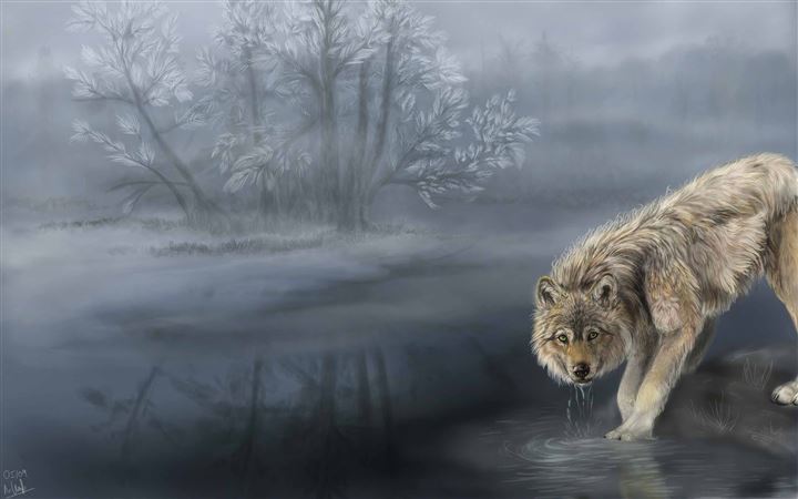 Wolf Drinking Water Painting All Mac wallpaper