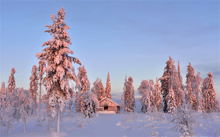 Wooden House In Winter Forest All Mac wallpaper