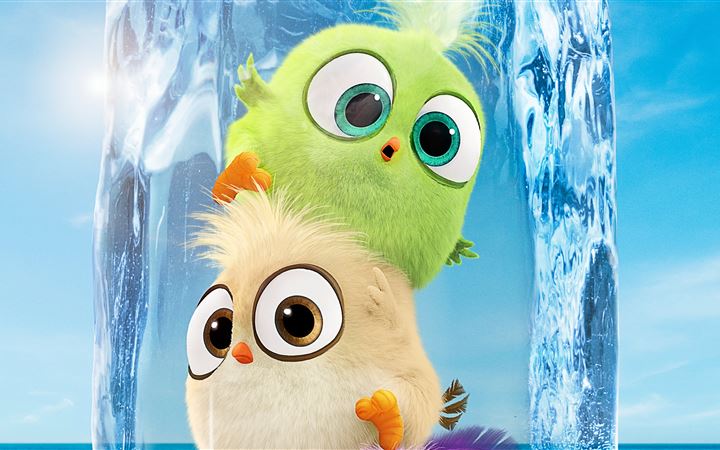 hatchlings in the angry birds movie 2 All Mac wallpaper