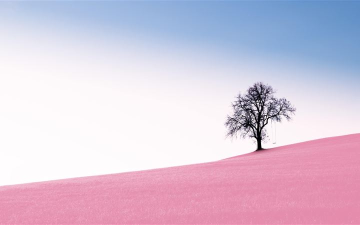 tree pink desert 10k All Mac wallpaper