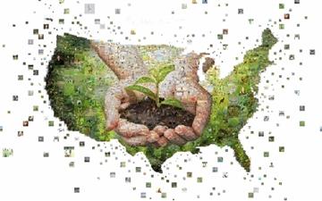 Green United States Of America All Mac wallpaper