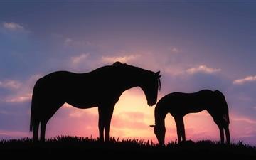 Horses Sunset Silhouette All Mac wallpaper