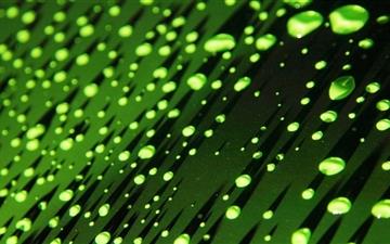 Green Water Droplets All Mac wallpaper