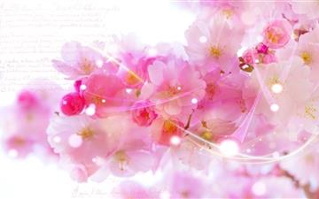Pink Blossom Flowers All Mac wallpaper
