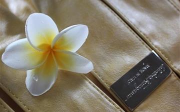 Magnolia flower on clothes All Mac wallpaper