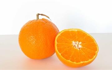 Orange Fruit MacBook Pro wallpaper
