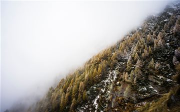 Fog over winter hillside All Mac wallpaper