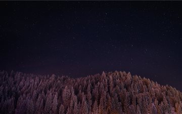 Wooded hill under stars iMac wallpaper
