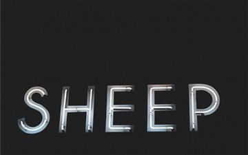 White Neon Sign Sheep All Mac wallpaper