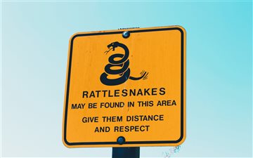 Rattlesnakes All Mac wallpaper
