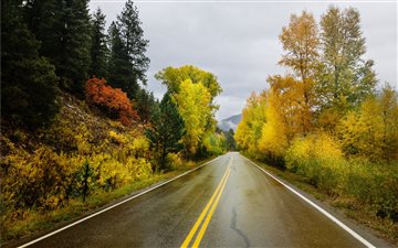 Two Lanes Through Natures... All Mac wallpaper