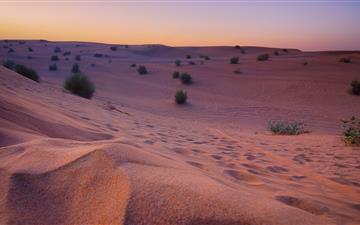 desert photography iMac wallpaper