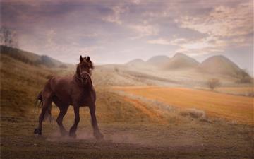 brown horse on brown ground with mountain backgrou All Mac wallpaper