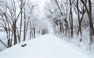 dirt road cover by snow All Mac wallpaper