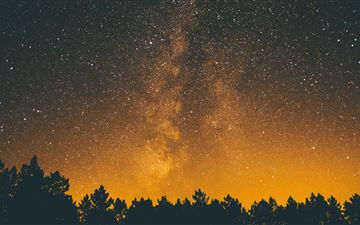 silhouette trees under starry sky 5k MacBook Air wallpaper