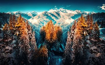 snow landscape mountains trees forest 5k All Mac wallpaper