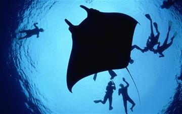 Underwater diving All Mac wallpaper
