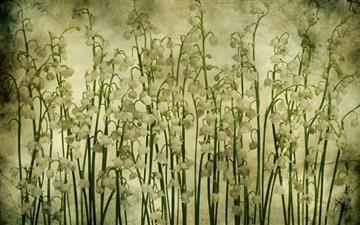 Lily Of The Valley Vintage Texture All Mac wallpaper