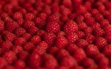 The Raspberries MacBook Air wallpaper