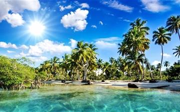 Tropics Palm Trees Sun Beach All Mac wallpaper