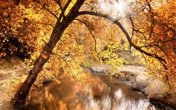 Creek Autumn All Mac wallpaper