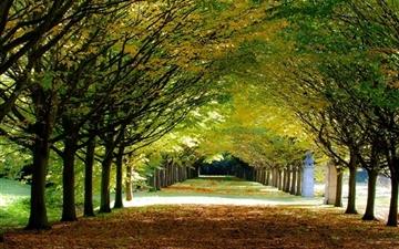 Its Autumn At Anglesey Abbey Cambridgeshire All Mac wallpaper