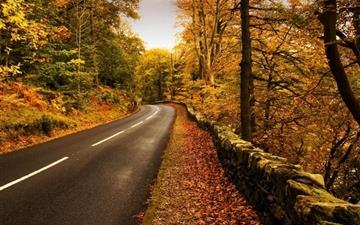Autumn highway All Mac wallpaper