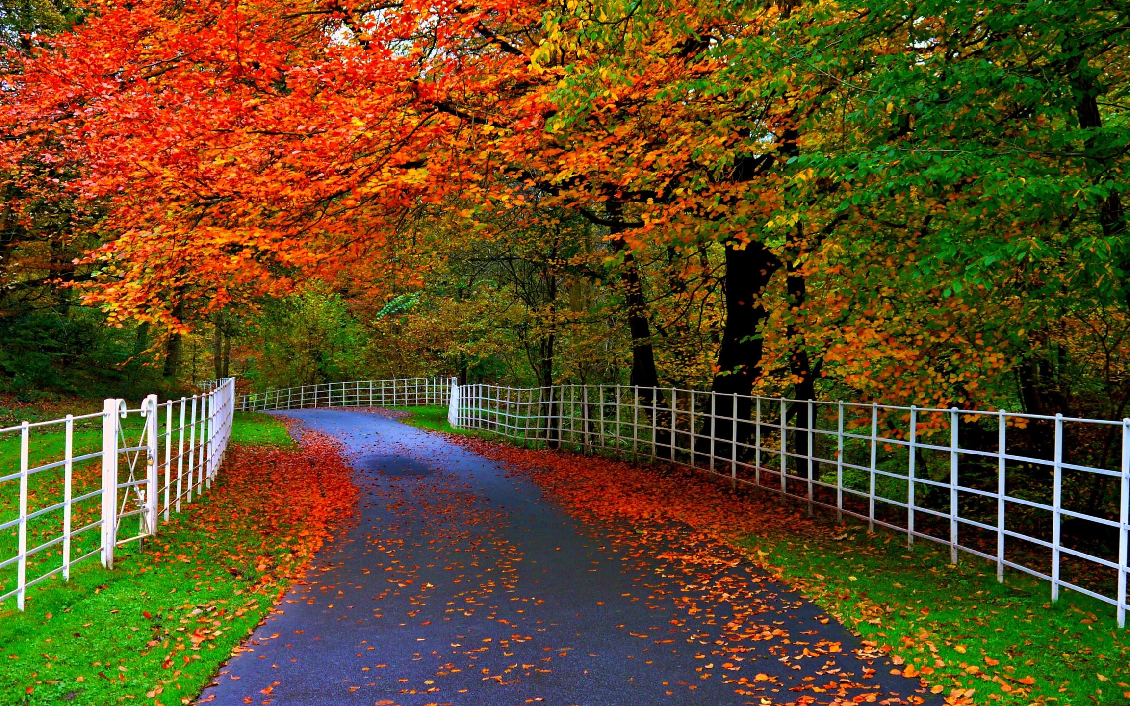 Beautiful Autumn Mac Wallpaper Download Allmacwallpaper