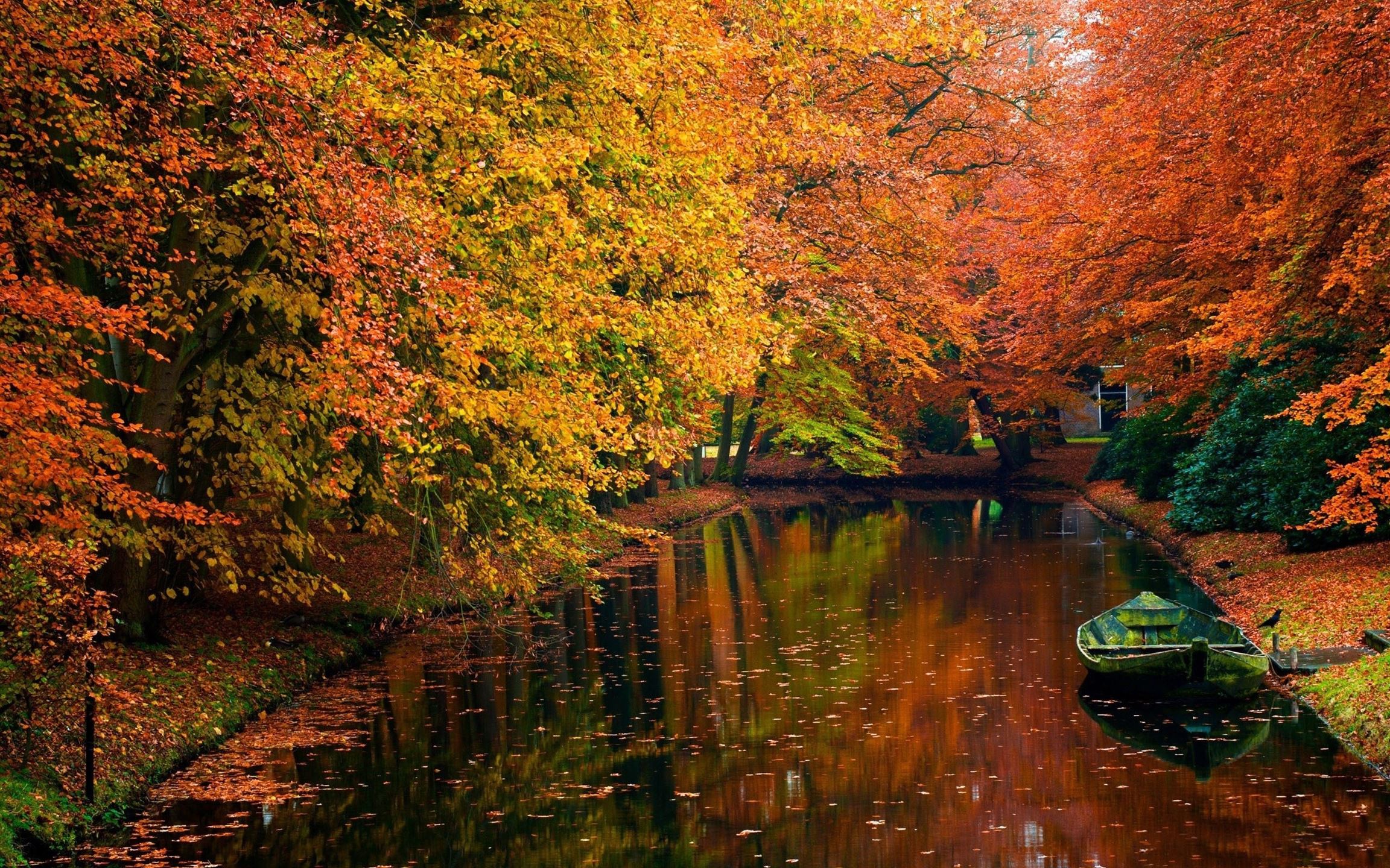 Lake in autumn landscape Mac Wallpaper Download | AllMacWallpaper