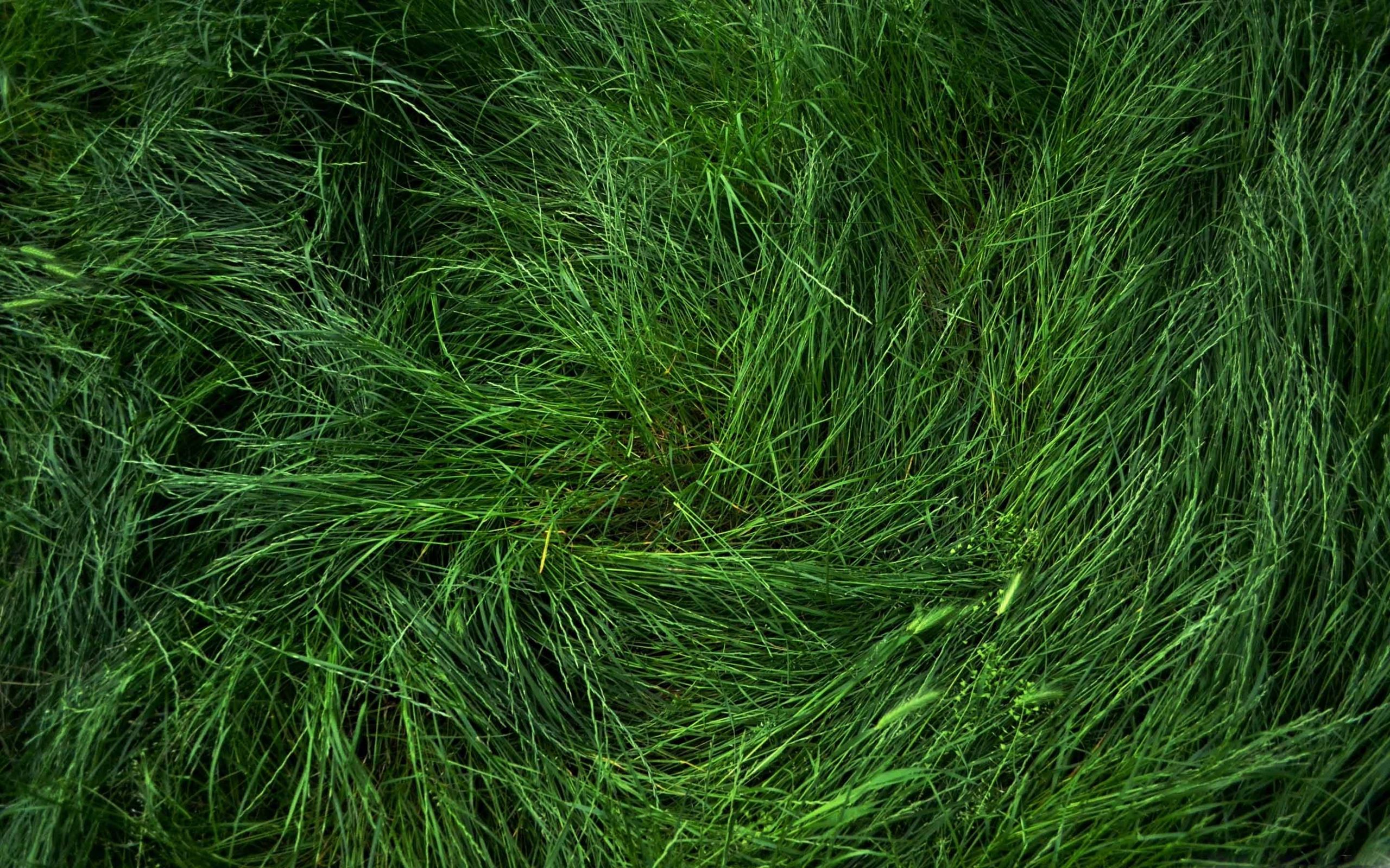 Flattened Grass Macbook Air Wallpaper Download Allmacwallpaper