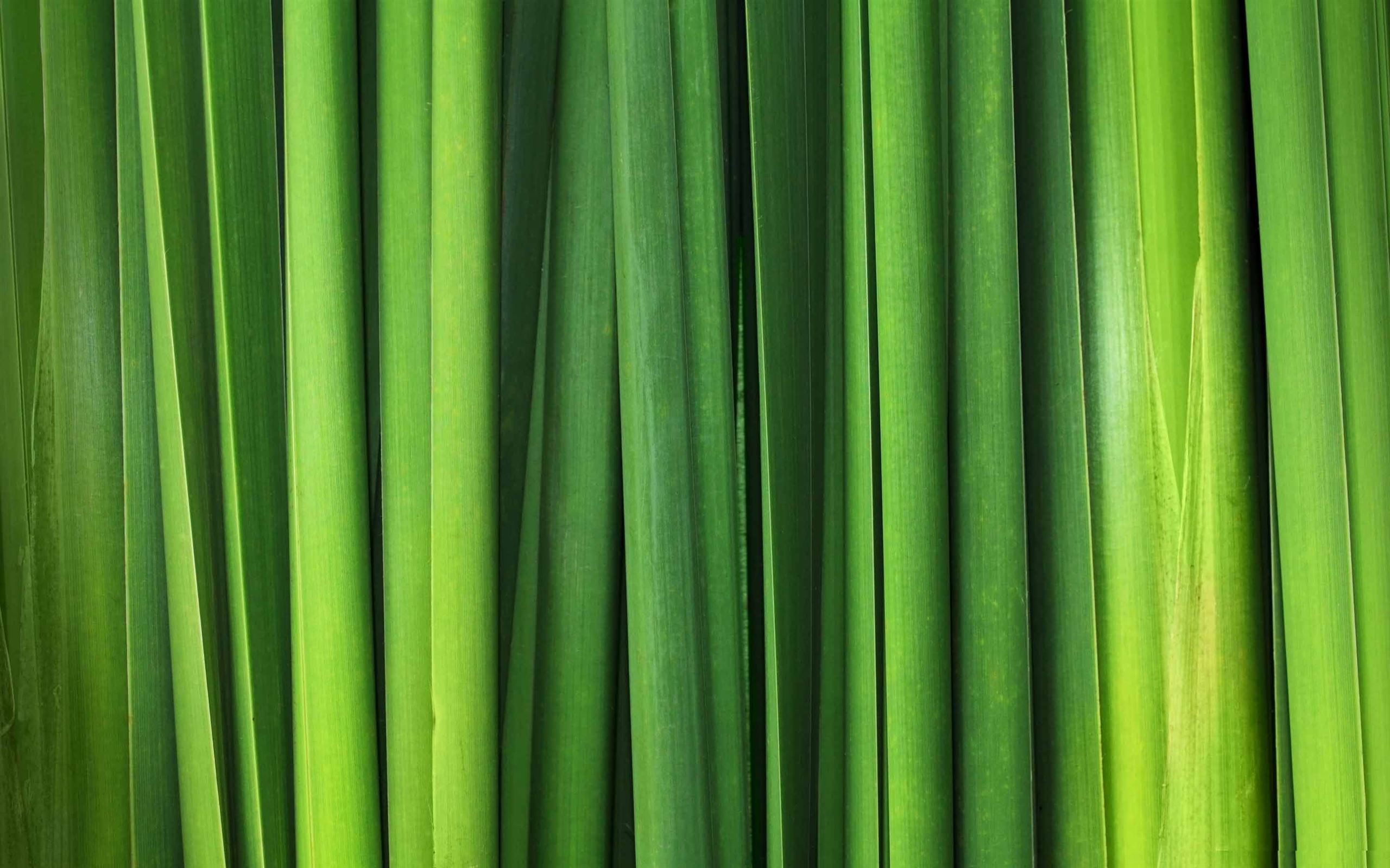 Green Grass Blades Mac Wallpaper Download | AllMacWallpaper