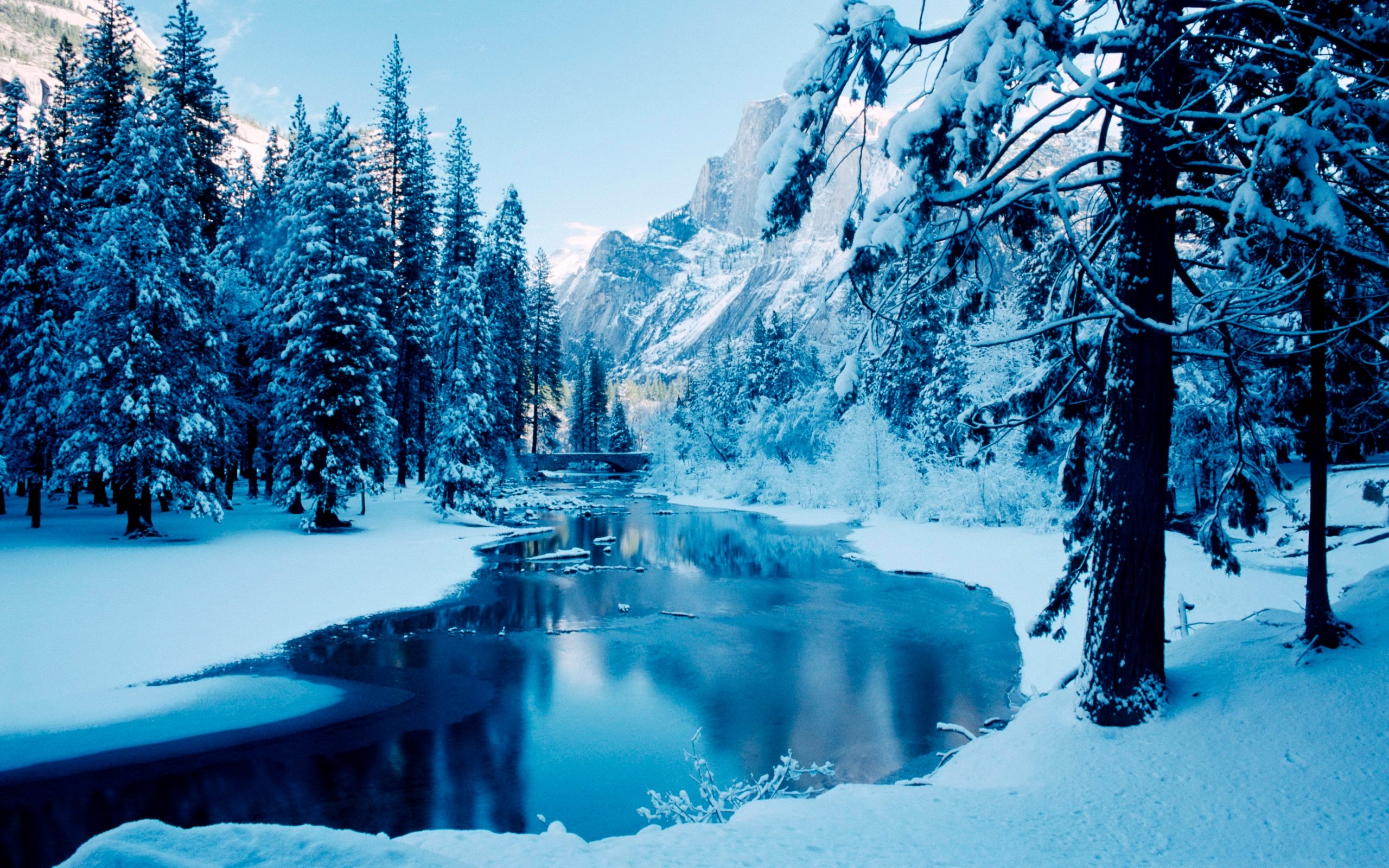 1000 Best Winter Mac Wallpapers Free HD Download  AllMacWallpaper
