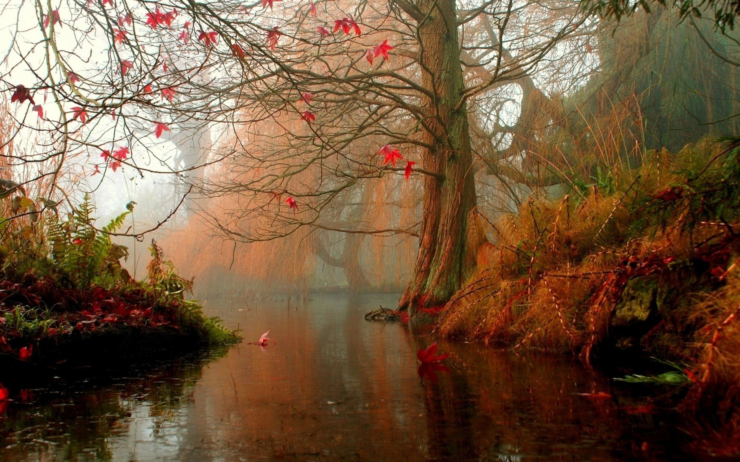 Nature Trees Autumn Rivers Mac Wallpaper Download | AllMacWallpaper