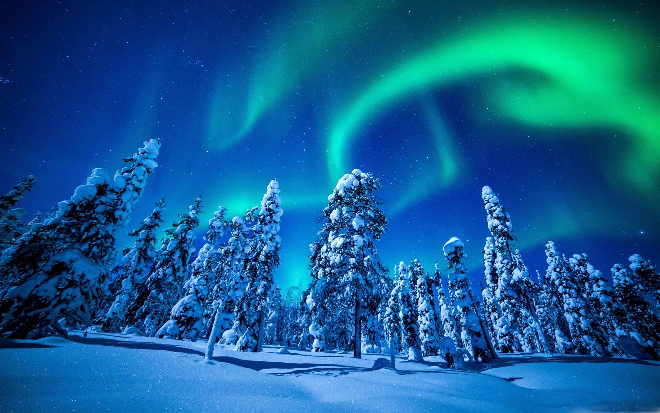 Nature Aurora Borealis HD Wallpaper