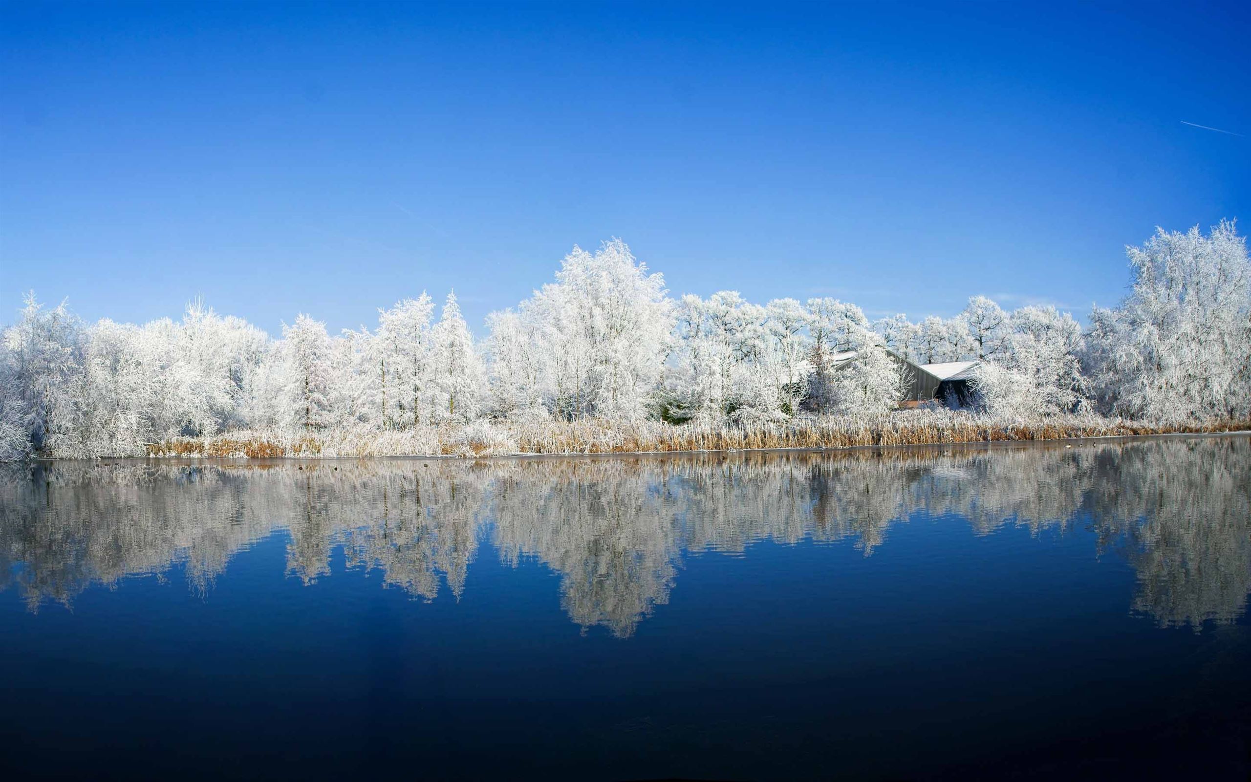 Panoramic Photography Winter Mac Wallpaper Download Allmacwallpaper