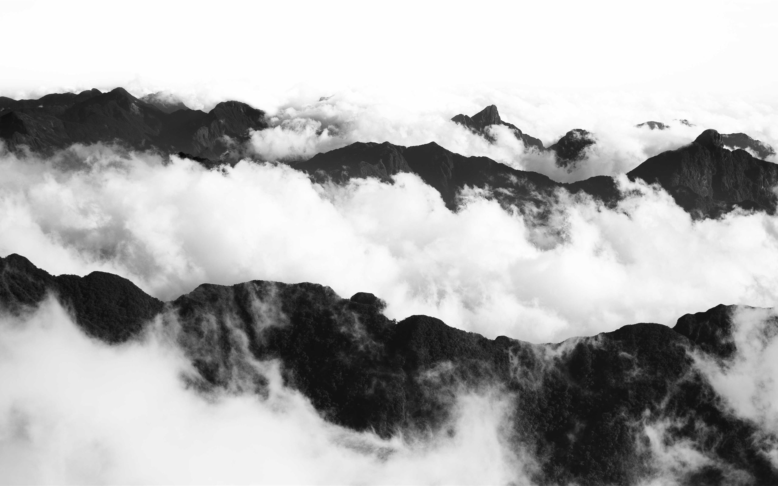 1000+ Best Black and white Mac Wallpapers Free HD Download - AllMacWallpaper